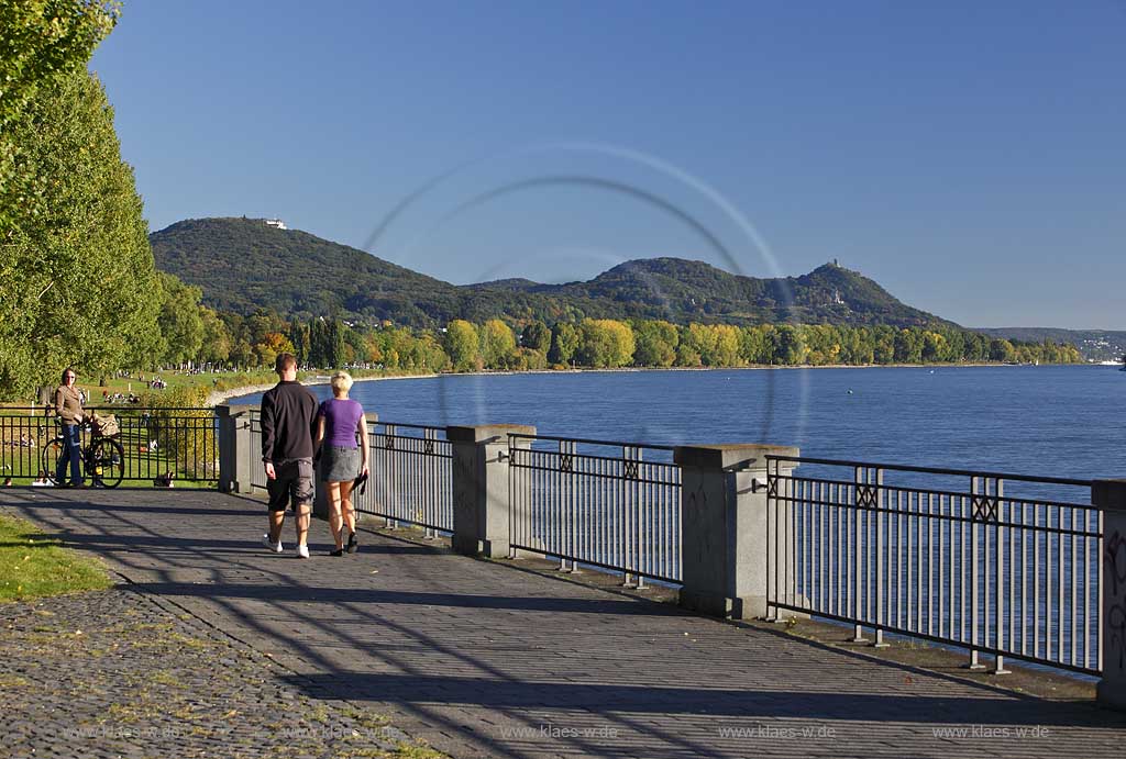 Bonn Rheinpromenade bei Oberkassel mit Blick ueber den Rhein zum Siebengebirge mit Drachenfels und Drachenburg, Rheinpromenade mit Wanderern und Baeumen in Herbststimmung; Bonn Rhine promenade at Oberkassel with view over the Rhine to the Siebengebirge with Dragoncliff and Dragoncastle, Rhine promenade with hiker and trees in autumn atmosphere