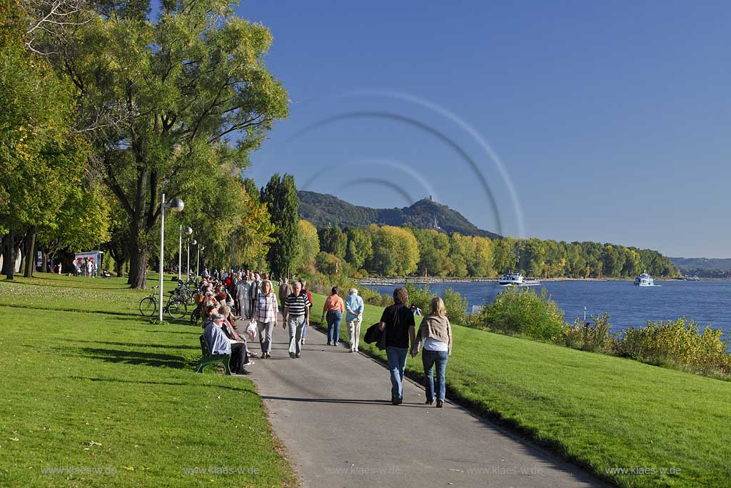 Bonn Rheinufer bei Oberkassel mit Blick auf Promenadenweg mit Wanderern und Drachenfels mit Drachenburg im Herbst, Rhein mit Faehren; Bonn Rhine coast at Oberkassel with view at  promenade alley with hiker and Dragoncliff with Dragoncastle in autumn, Rhine with ferry boats