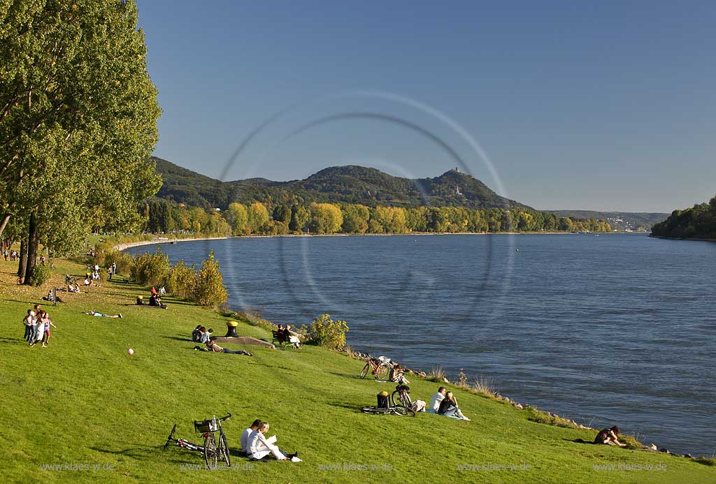 Bonn Rheinufer bei Oberkassel Blick von der Rheinwiese mit Leuten zum Drachenfels mit Drachenburg im Herbst; Bonn Rhine coast at Oberkassel, view from Rhine grassland with people to the Dragoncliff with Dragoncastle in autumn