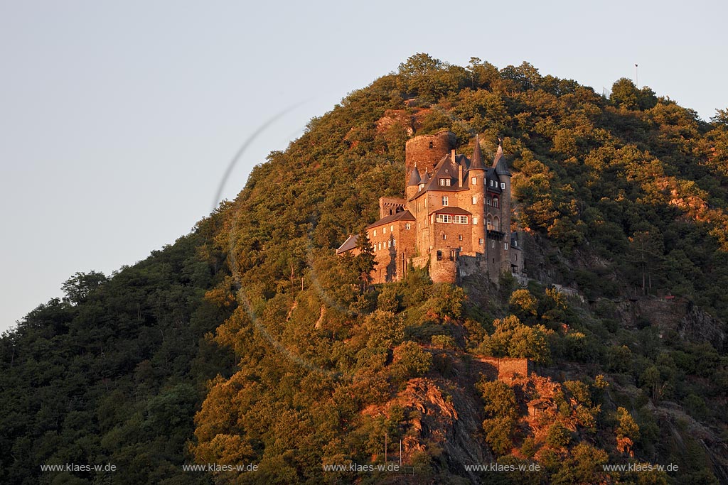 St. Goarshausen, Burg Katz im Abendlicht.Die Burg Katz ist eine rechtsrheinische Hangburg.  Eigentlich trug die Burg den Namen Burg Neukatzenelnbogen, der Volksmund hat diesen auf Burg Katz verkrzt; St. Goarshausen, castle Katz at sunset light.