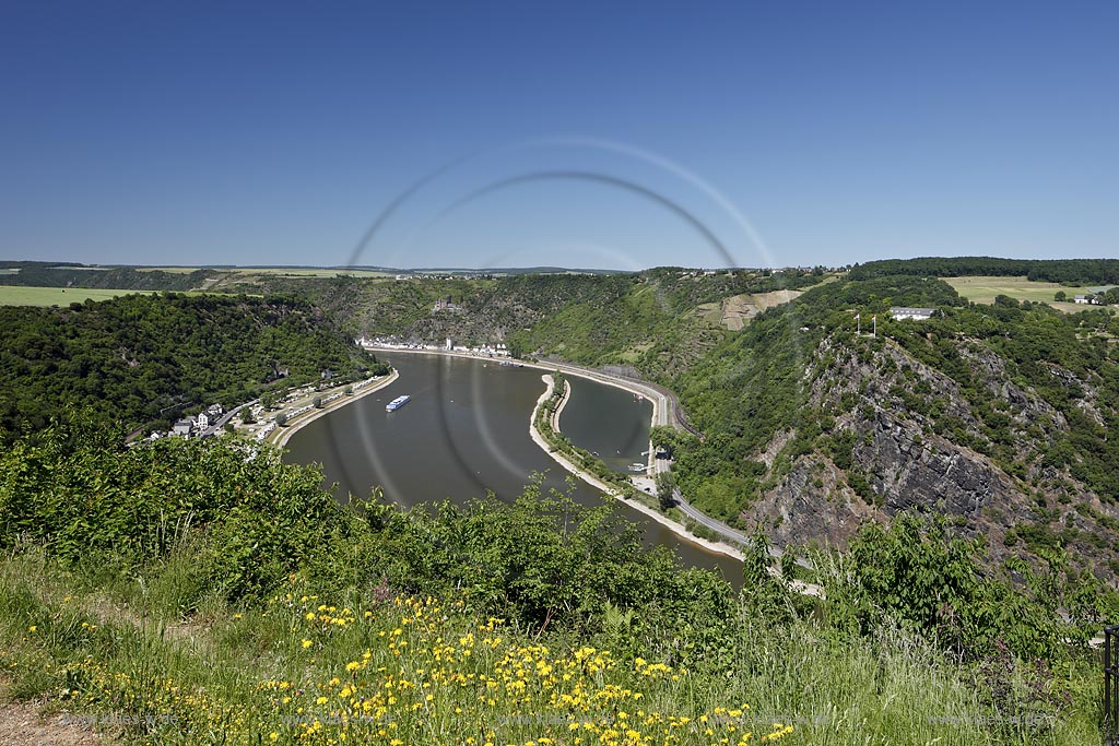 Urbar, Panorama , Loreleyblick Maria Ruh am Rheinburgenweg, Blick ins Rheintal mit Sankt Goarshausen und Burg Katz, Loreley Felsen, Rheinmaeander, Kabinenfahrgastschiff Theodor Fontane  ein 1990/91 gebautes Kabinenfahrgastschiff von Viking River Cruises, das 2010/11 komplett umgebaut und modernisiert wurde; Urbar, panorama, view of Loreley, Maria Ruh at Rheinburgenweg, view to Rhinedale.