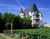 Geisenheim, Mittelrhein, Rheingau-Taunus-Kreis, Weinstadt, Schulstadt, Domstadt und Lindenstadt, Blick auf Stockheimer Hof und Weinreben