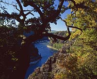 Loreley, Sankt Goarshausen, Mittelrhein, Rhein, Schieferfelsen, Blick auf Felsen, Loreleyfelsen und Rhein mit Schiffen