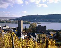 Rdesheim, Ruedesheim am Rhein, Rheingau-Taunus-Kreis, Mittelrhein, Blick ber, ueber Weinreben auf Broemser, Brmser Burg, Rhein und Ort