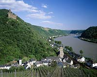 Wellmich, St. Goarshausen, Rhein-Lahn-Kreis, Loreley, Mittelrhein, Blick auf Ort und Rhein mit Burg Maus