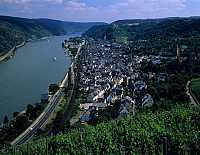 Oberwesel, Rhein-Hunsrück-Kreis, Mittelrhein, Panoramablick, Blick über, ueber Weinstock auf Stadt, Rhein und Landschaft