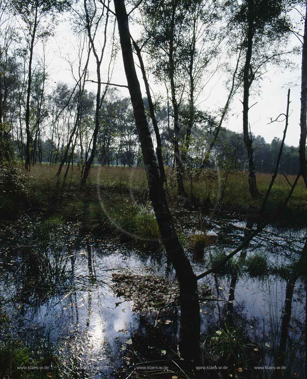 Gronau, Kreis Borken, Mnster, Muenster, Mnsterland, Muensterland, Blick auf Amtsvenn Hndfelder, Huendfelder Moor