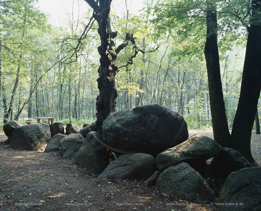 Heiden, Kreis Borken, Mnster, Muenster, Mnsterland, Muensterland, Blick auf Teufelssteine, Dwelsteene, Duewelsteene, Megalithanlage 