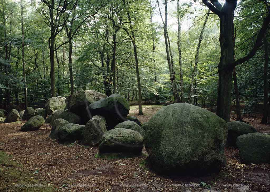 Wersen, Lotte, Kreis Steinfurt, Mnster, Muenster, Mnsterland, Muensterland, Blick auf Slopsteine, Hnengrab, Huenengrab