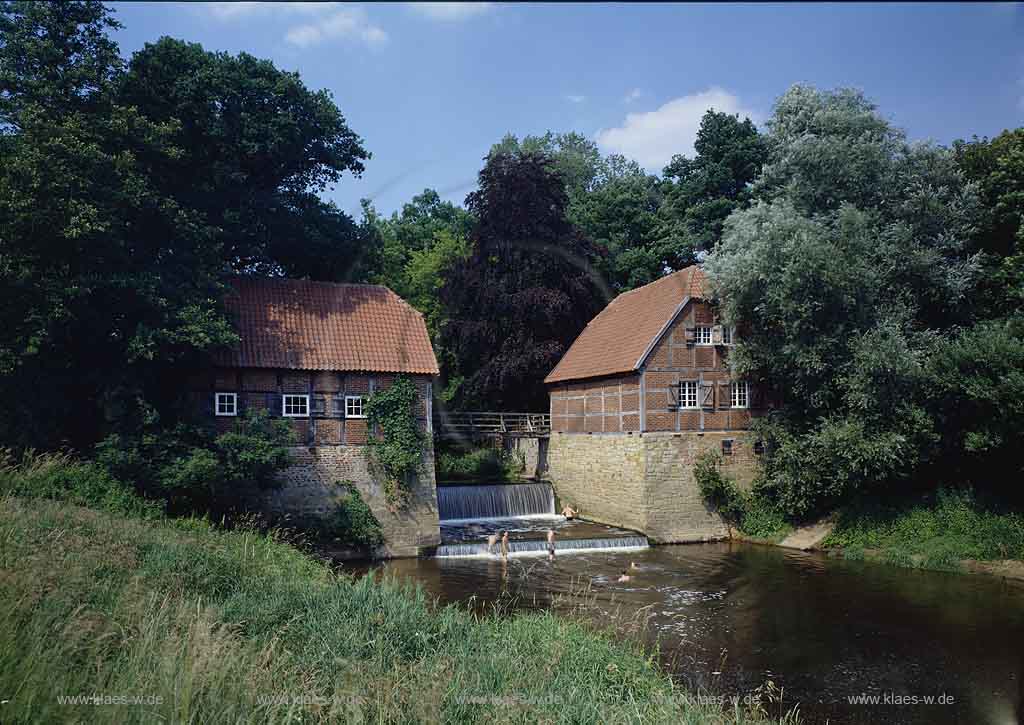 Telgte, Kreis Warendorf, Mnster, Muenster, Mnsterland, Muensterland, Blick auf Haus Langen, Wassermhle, Wassermuehle, Wehr