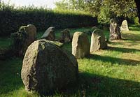 Holperdorp, Lienen, Kreis Steinfurt, Münster, Muenster, Münsterland, Muensterland, Blick auf Megalithengrab, Hünengrab
