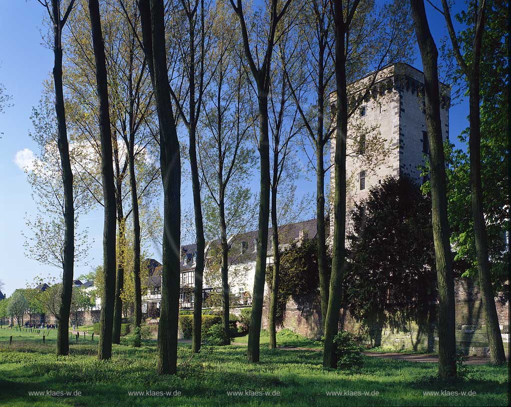 Zons, Dormagen, Rhein-Kreis Neuss, Niederrhein, Regierungsbezirk Dsseldorf, Blick auf Zollfestung im Fruehling, Frhling