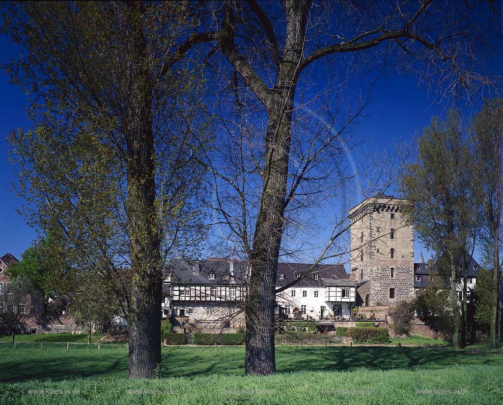 Zons, Dormagen, Rhein-Kreis Neuss, Niederrhein, Regierungsbezirk Dsseldorf, Blick auf Zollfestung im Fruehling, Frhling