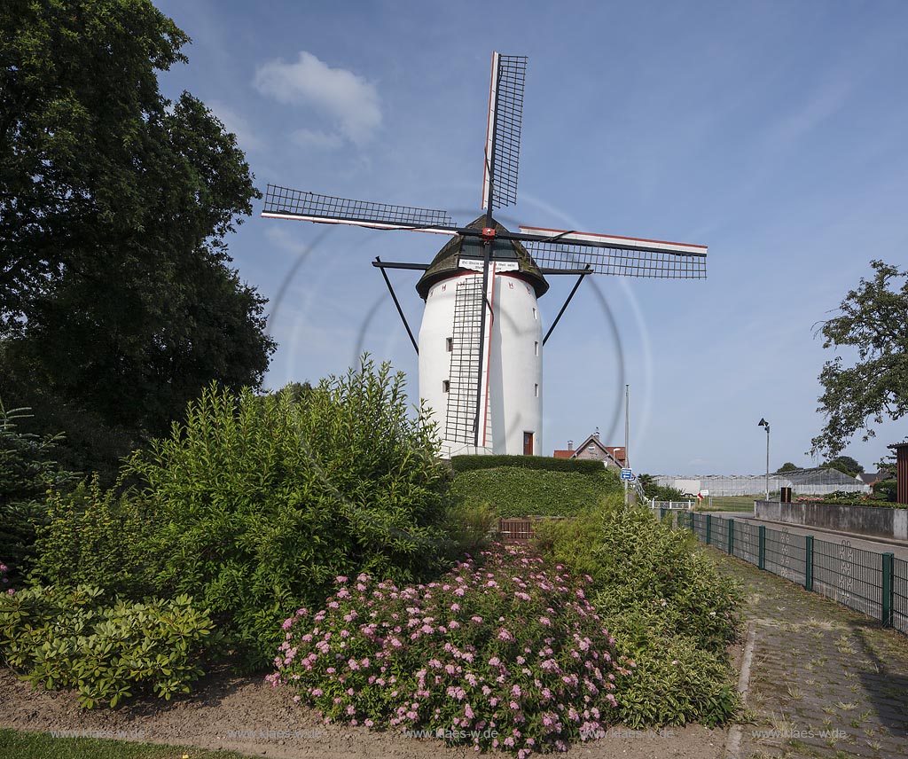 Geldern Walbeck, Blick auf die Steprather Muehle, sie stammt aus dem 16. Jahrhundert und ist die aelteste voll funktionierende Windmuehle Deutschlands;Geldern Walbeck, view to the mill Steprather Muehle.