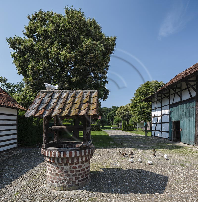 Grefrath, Niederrheinisches Freilichtmuseum, "Hofanlage Rasseln", turtelndes Taubenpaerchen auf Dach des Ziehbrunnens; Grefrath, museum Niederrheinisches Freilichtmuseum, yard "Hofanlage Rasseln".