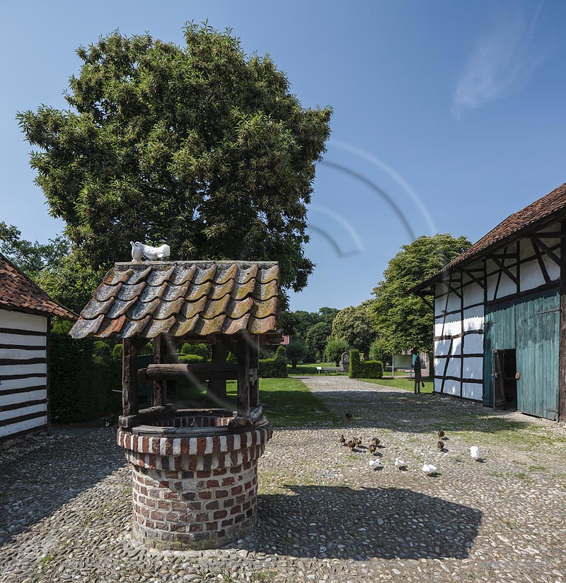Grefrath, Niederrheinisches Freilichtmuseum, "Hofanlage Rasseln", turtelndes Taubenpaerchen auf Dach des Ziehbrunnens; Grefrath, museum Niederrheinisches Freilichtmuseum, yard "Hofanlage Rasseln".