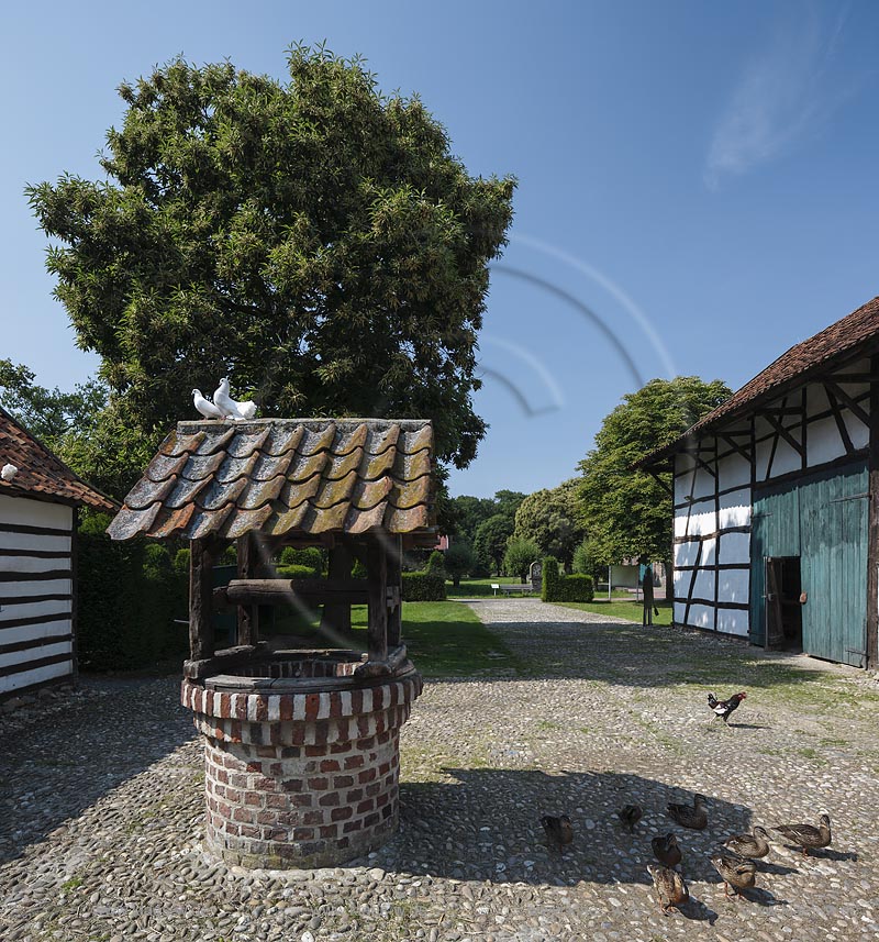 Grefrath, Niederrheinisches Freilichtmuseum, "Hofanlage Rasseln", turtelndes Taubenpaerchen auf Dach des Ziehbrunnens; Grefrath, museum Niederrheinisches Freilichtmuseum, yard "Hofanlage Rasseln".