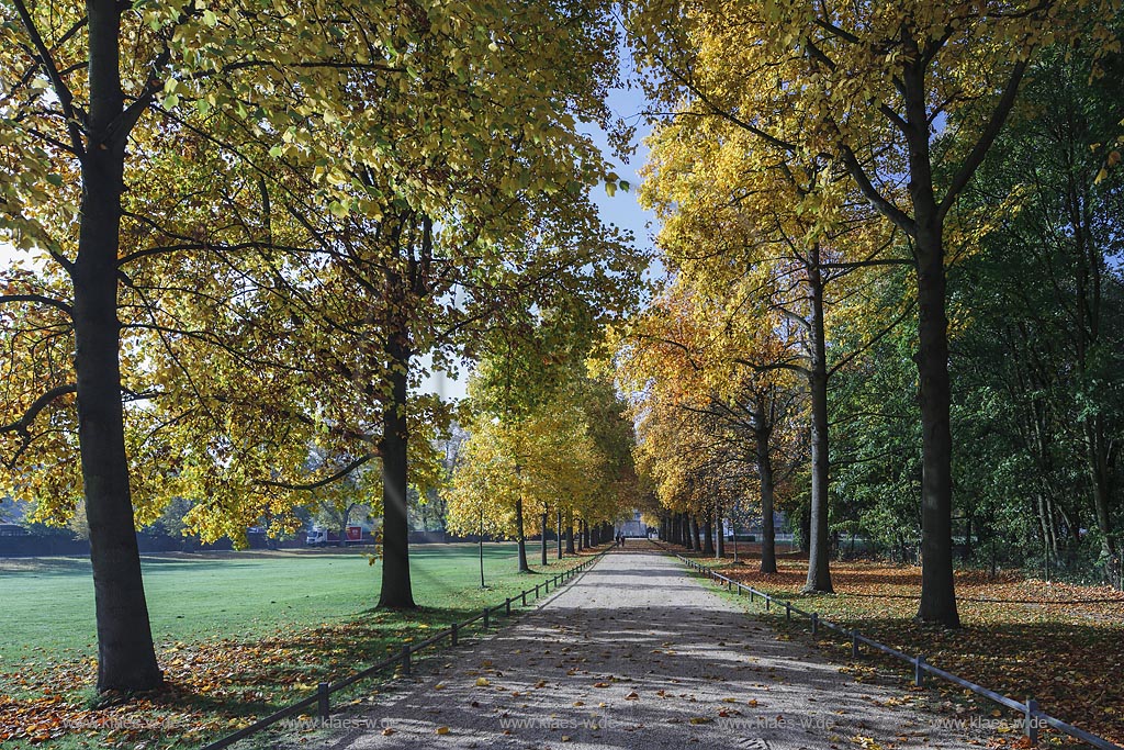 Juechen, Schlossallee Schloss Dyck in Herbststimmung; Juechen, royal avenue castle Schloss Dyck.