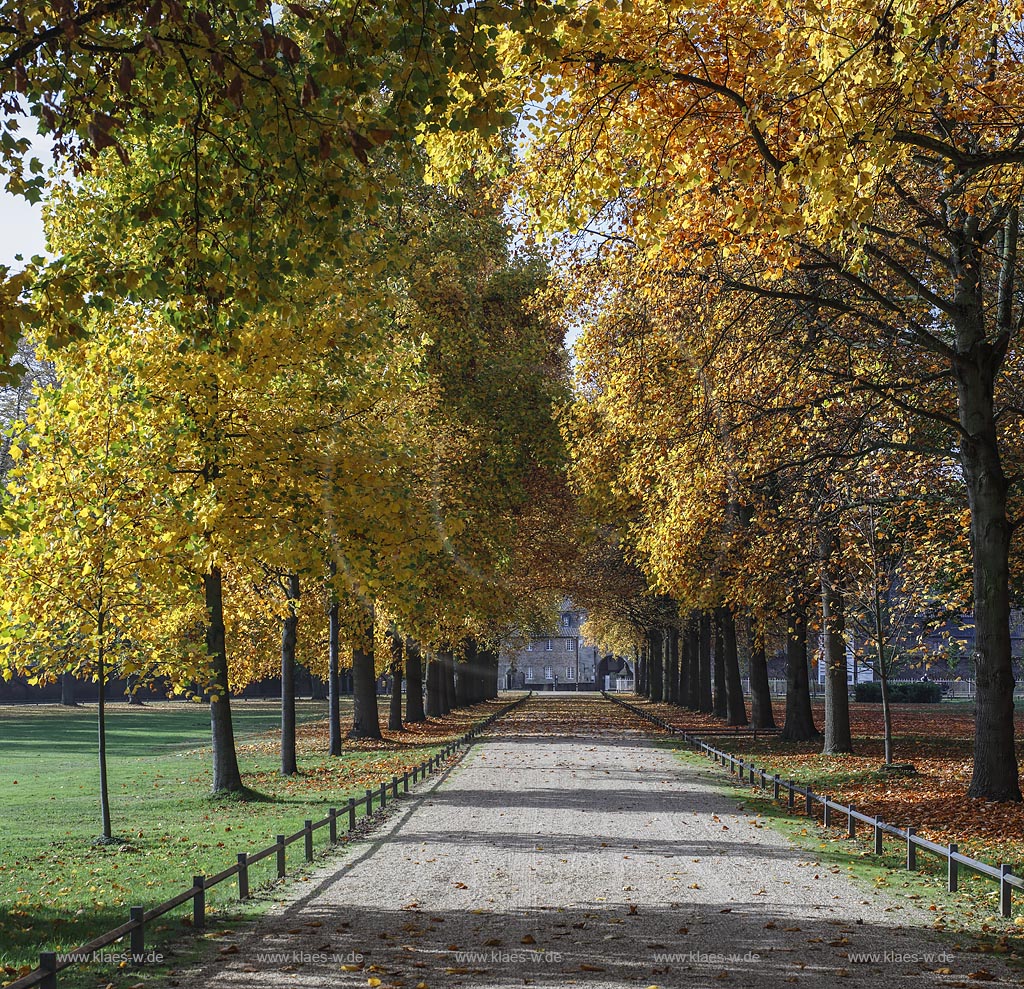 Juechen, Schlossallee Schloss Dyck in Herbststimmung; Juechen, royal avenue castle Schloss Dyck.