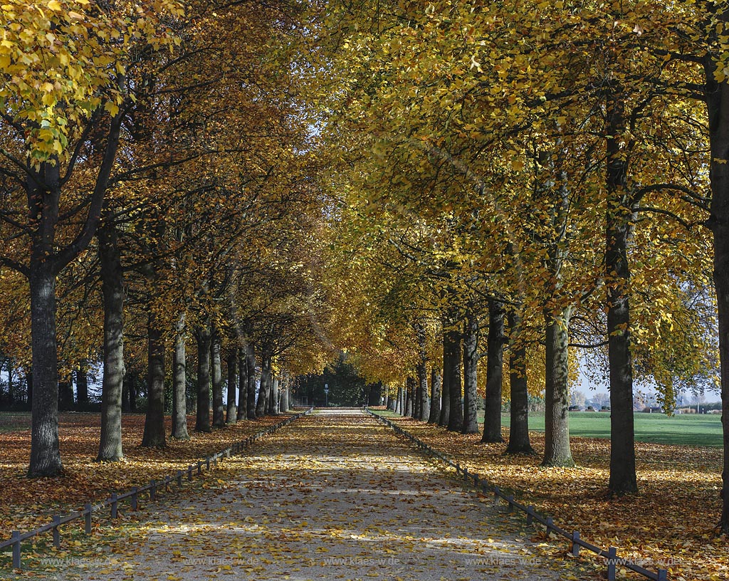 Juechen, Schlossallee Schloss Dyck in Herbststimmung; Juechen, royal avenue castle Schloss Dyck.