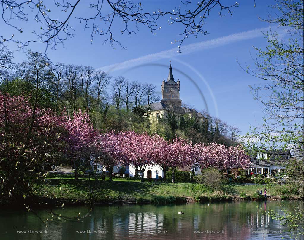 Kleve, Kreis Kleve, Niederrhein, Regierungsbezirk Dsseldorf, Blick auf Schwanenburg, Burgteich in Frhlingslandschaft, Fruehlingslandschaft 