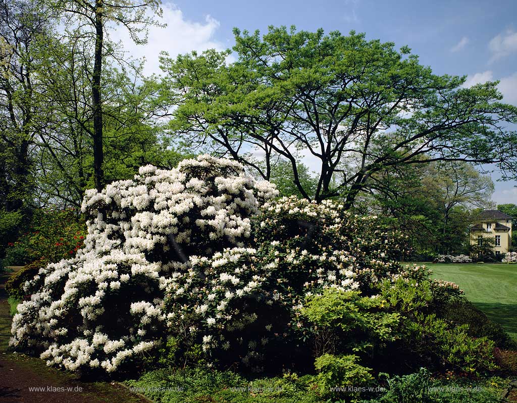 Oppum, Krefeld, Landschaftsverband Rheinland, Regierungsbezirk Dsseldorf, Niederrhein, Blick in Botanischen Garten im Sommer 