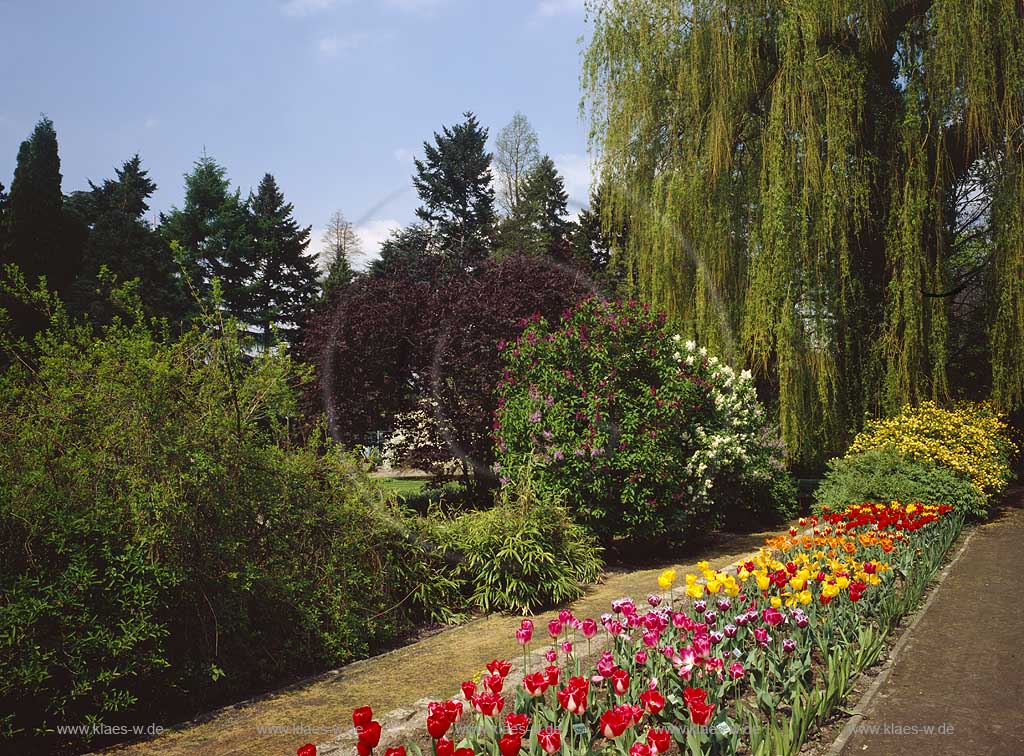 Oppum, Krefeld, Landschaftsverband Rheinland, Regierungsbezirk Dsseldorf, Niederrhein, Blick in Botanischen Garten im Sommer