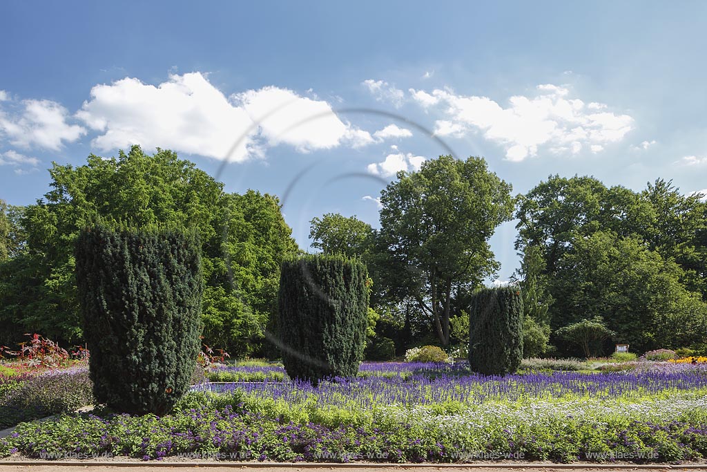 Moenchengladbach, Bunter Garten, botaniscer Garten im Stadtzentrum, bluehende Beete; Moenchengladbach, botanical garden in town center with blooming bed.