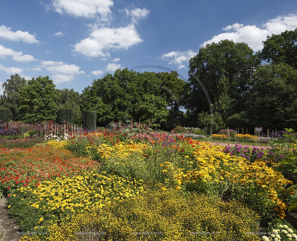 Moenchengladbach, Bunter Garten, botaniscer Garten im Stadtzentrum, bluehende Beete; Moenchengladbach, botanical garden in town center with blooming bed.