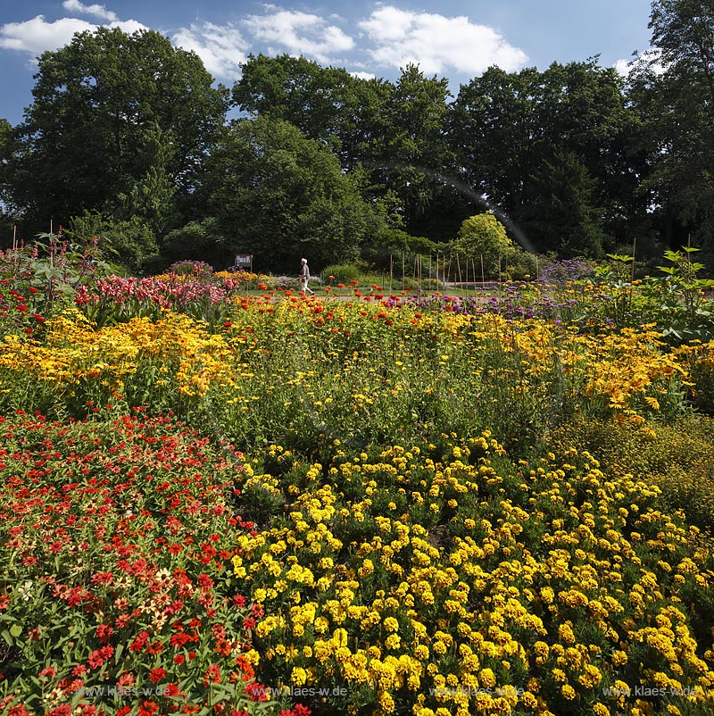 Moenchengladbach, Bunter Garten, botaniscer Garten im Stadtzentrum, bluehende Beete; Moenchengladbach, botanical garden in town center with blooming bed.