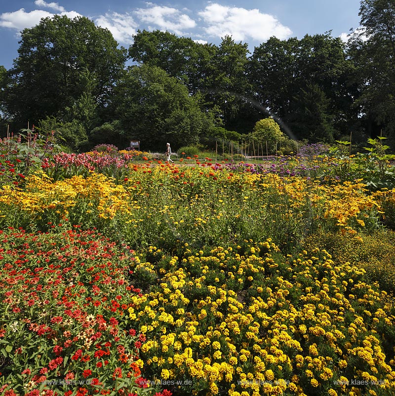 Moenchengladbach, Bunter Garten, botaniscer Garten im Stadtzentrum, bluehende Beete; Moenchengladbach, botanical garden in town center with blooming bed.