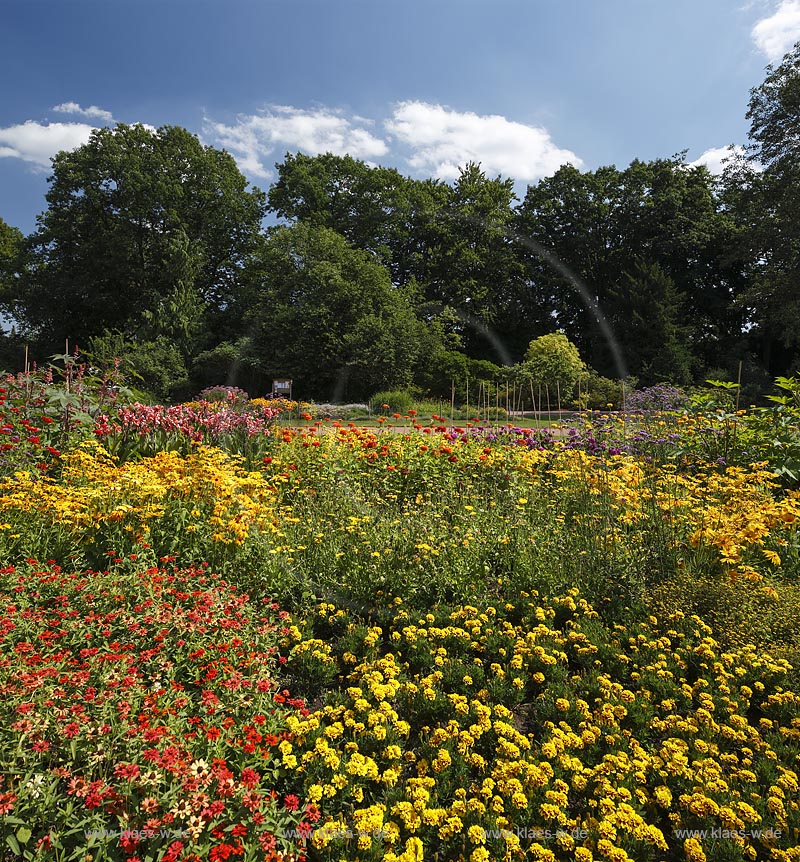 Moenchengladbach, Bunter Garten, botaniscer Garten im Stadtzentrum, bluehende Beete; Moenchengladbach, botanical garden in town center with blooming bed.