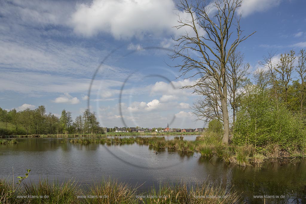 Nettetal, Naturpark Schwalm-Nette,  Grosser De-Witt-See, im Hintergrund der Ort Leuth im Fruehling mit Wolkenstimmung; Nettetal, lake Grosser De-Witt-See with village Leuth in the background.