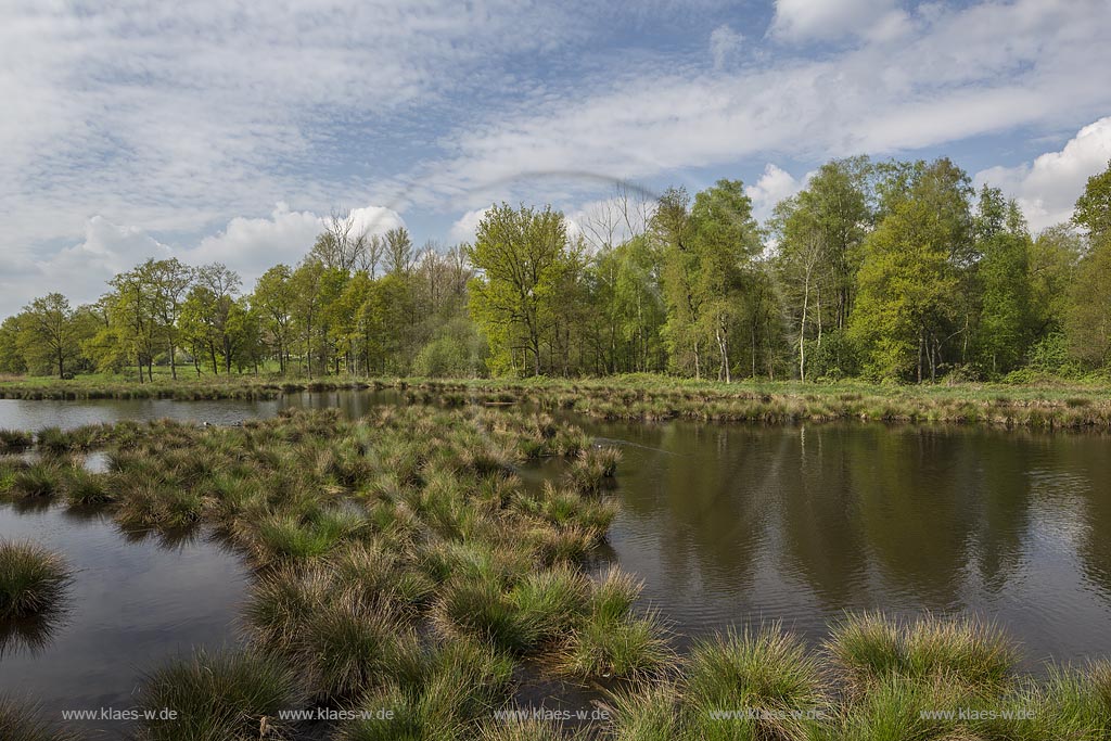 Nettetal, Naturpark Schwalm-Nette,  Grosser De-Witt-See,  im Fruehling mit Wolkenstimmung; Nettetal, lake Grosser De-Witt-See.