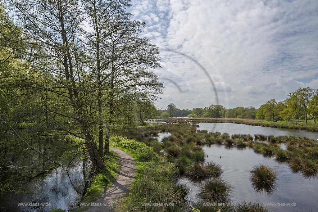 Nettetal, Naturpark Schwalm-Nette,  Grosser De-Witt-See,  im Fruehling mit Wolkenstimmung; Nettetal, lake Grosser De-Witt-See.