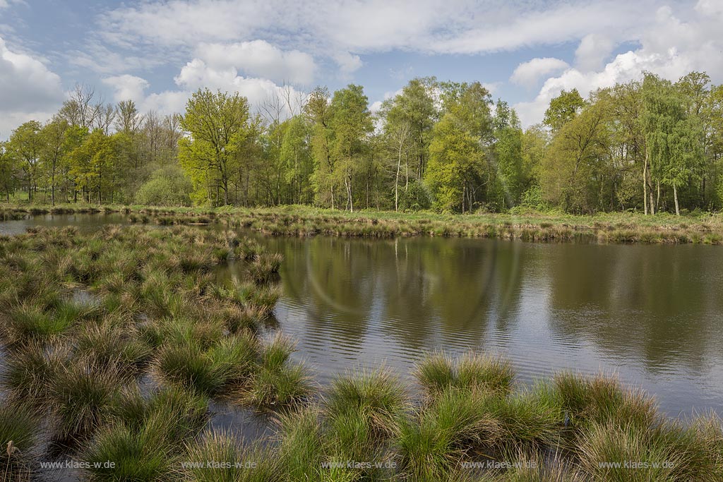 Nettetal, Naturpark Schwalm-Nette,  Grosser De-Witt-See,  im Fruehling mit Wolkenstimmung; Nettetal, lake Grosser De-Witt-See.