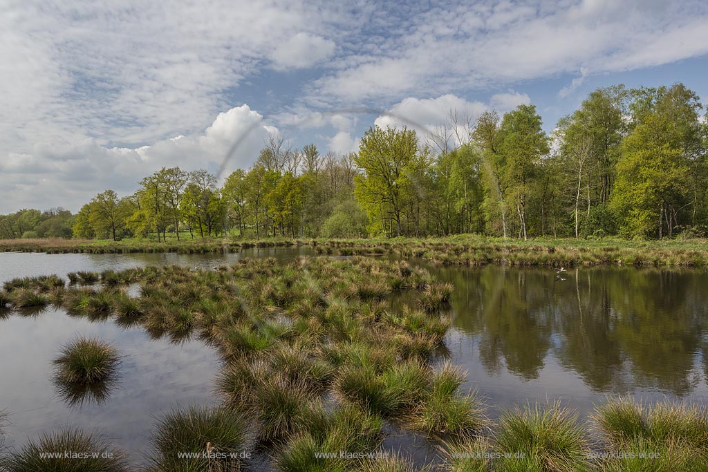 Nettetal, Naturpark Schwalm-Nette,  Grosser De-Witt-See,  im Fruehling mit Wolkenstimmung; Nettetal, lake Grosser De-Witt-See.