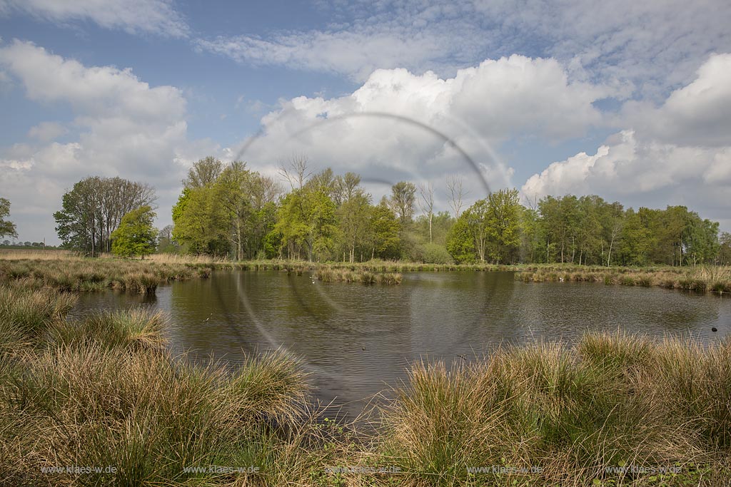 Nettetal, Naturpark Schwalm-Nette,  Grosser De-Witt-See,  im Fruehling mit Wolkenstimmung; Nettetal, lake Grosser De-Witt-See.