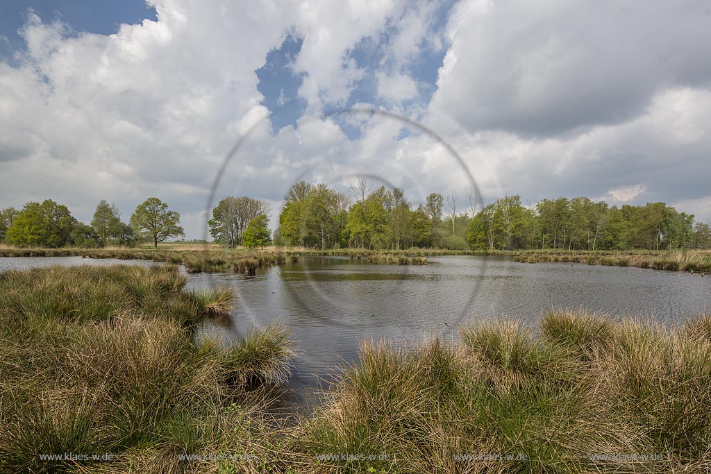 Nettetal, Naturpark Schwalm-Nette,  Grosser De-Witt-See,  im Fruehling mit Wolkenstimmung; Nettetal, lake Grosser De-Witt-See.