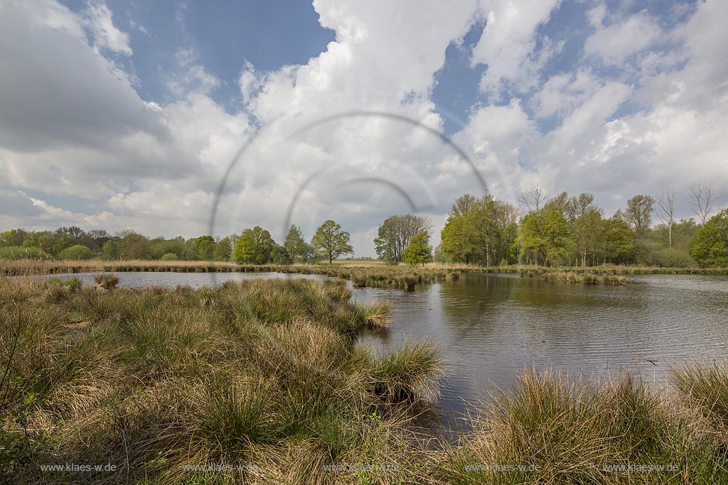 Nettetal, Naturpark Schwalm-Nette,  Grosser De-Witt-See,  im Fruehling mit Wolkenstimmung; Nettetal, lake Grosser De-Witt-See.