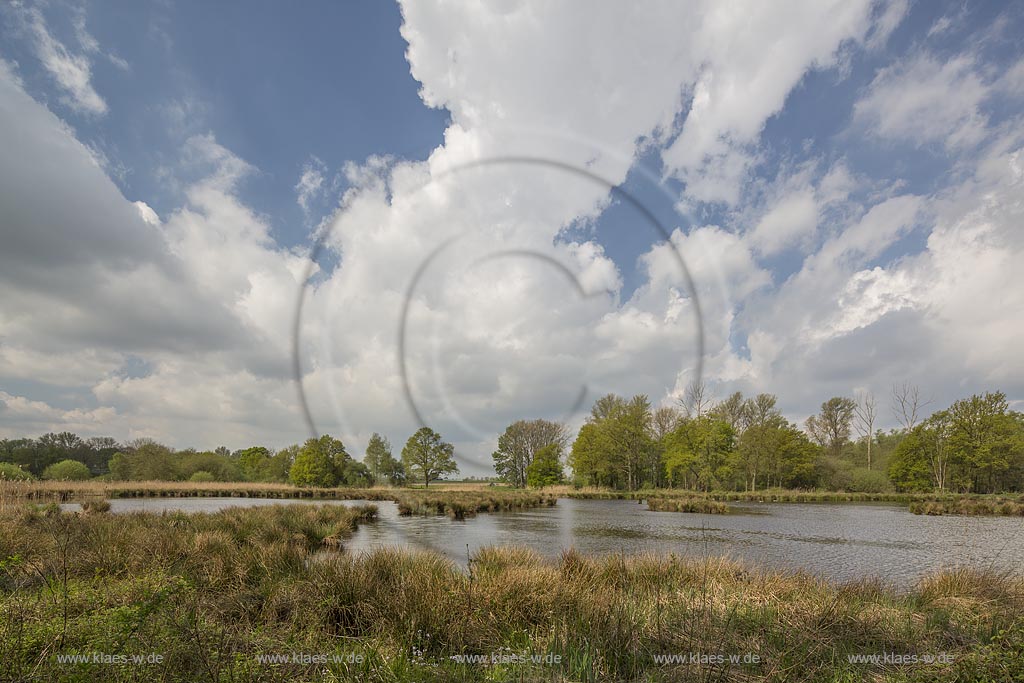 Nettetal, Naturpark Schwalm-Nette,  Grosser De-Witt-See,  im Fruehling mit Wolkenstimmung; Nettetal, lake Grosser De-Witt-See.
