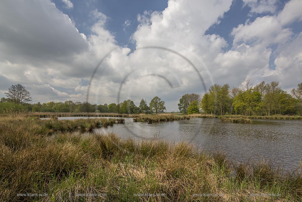 Nettetal, Naturpark Schwalm-Nette,  Grosser De-Witt-See,  im Fruehling mit Wolkenstimmung; Nettetal, lake Grosser De-Witt-See.