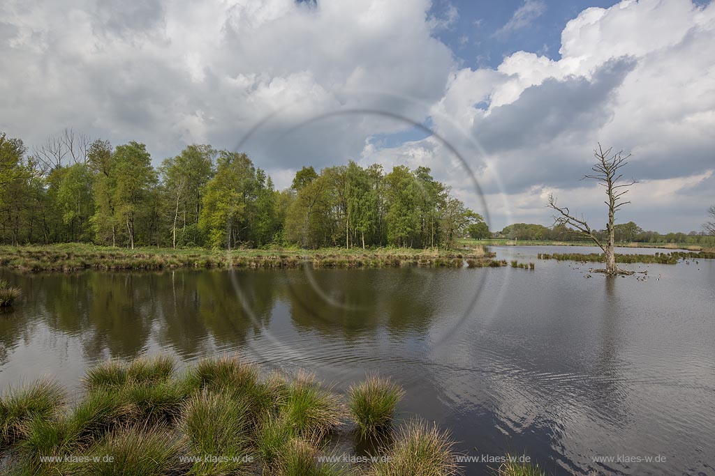 Nettetal, Naturpark Schwalm-Nette,  Grosser De-Witt-See,  im Fruehling mit Wolkenstimmung; Nettetal, lake Grosser De-Witt-See.