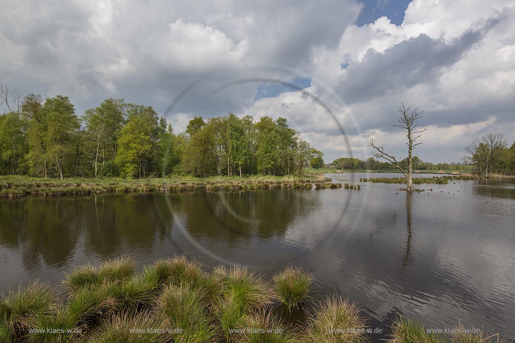 Nettetal, Naturpark Schwalm-Nette,  Grosser De-Witt-See,  im Fruehling mit Wolkenstimmung; Nettetal, lake Grosser De-Witt-See.