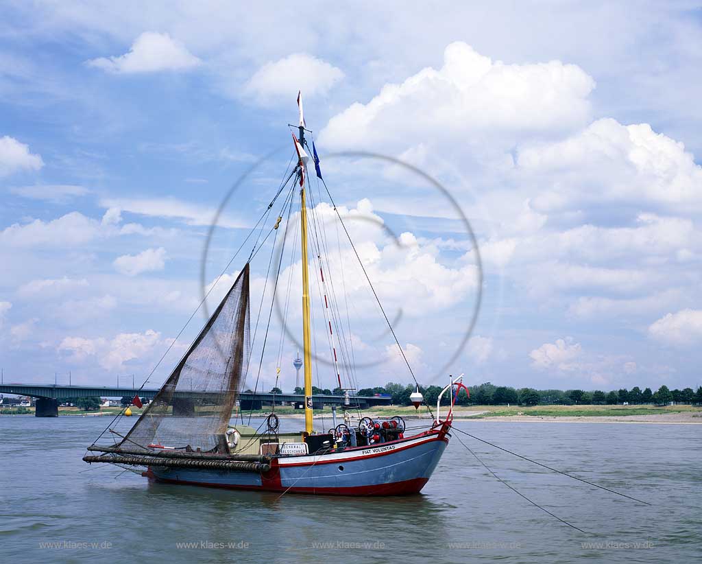 Neuss, Rhein-Kreis Neuss, Niederrhein, Regierungsbezirk Dsseldorf, Blick auf Aalschokker, Aalfaenger, Aalfnger, Segelboot, Fischkutter auf Rhein mit Sicht auf Sdbrcke, Suedbruecke 