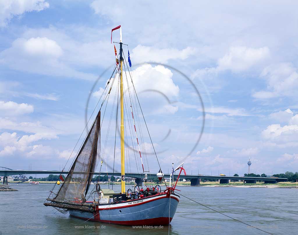 Neuss, Rhein-Kreis Neuss, Niederrhein, Regierungsbezirk Dsseldorf, Blick auf Aalschokker, Aalfaenger, Aalfnger, Segelboot, Fischkutter auf Rhein mit Sicht auf Sdbrcke, Suedbruecke 