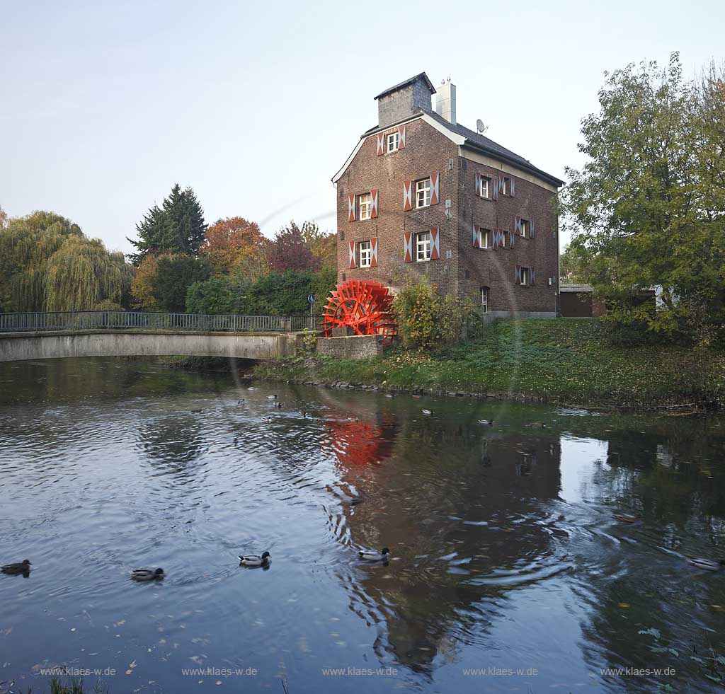 Goch, Blick auf die Susmuehle mit Wasserrad, Muehlrad, eine ehemalige Wassermuehle an der Niers mit Stockenten und Spiegelbild im Fluss; View to the historical water mill Susmuehle with the millwheel at the iers river