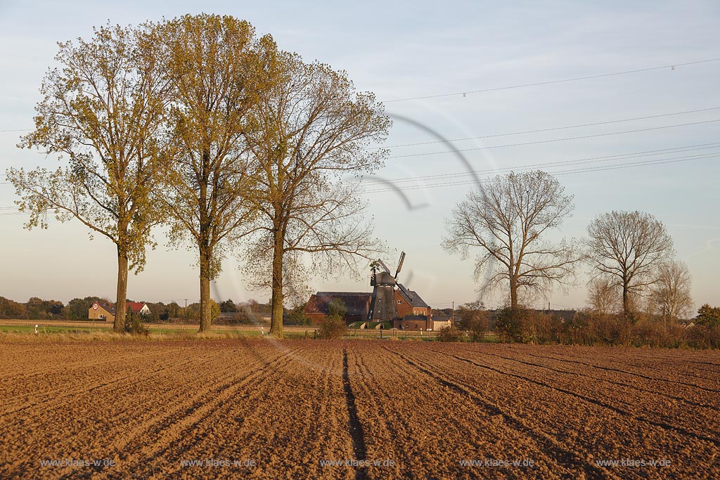 Kleve-Donsbrueggen, Alte Muehle in Herbstlandschaft; Kleve-Donsbrueggen, mill Alte Muehle in autumn.