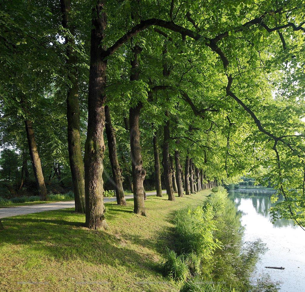 Moenchengladbach Wickrath Schlosspark Baumalle mit Schlossgraben und Spiegelbild; Moenchengladbach park of castle Wickrath in summer landscape with trees and mirror image