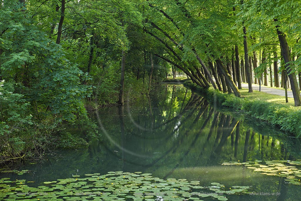 Moenchengladbach Wickrath Schlosspark Baumalle mit Schlossgraben und Spiegelbild; Moenchengladbach park of castle Wickrath in summer landscape with trees and mirror image